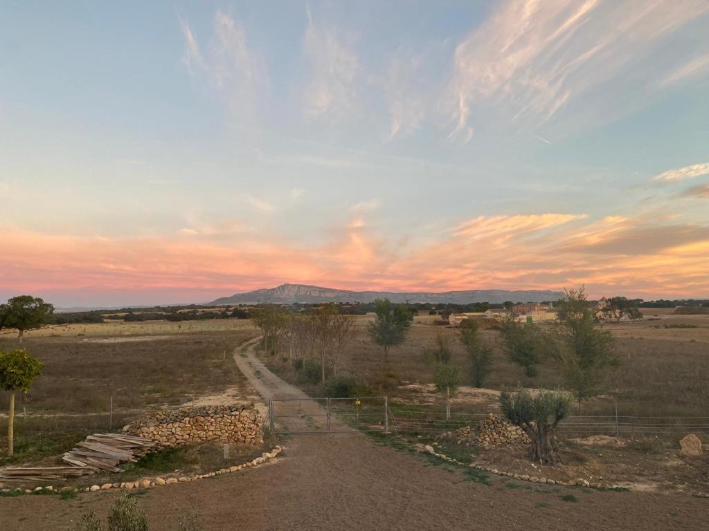Finca Las Botas Almansa Eksteriør bilde
