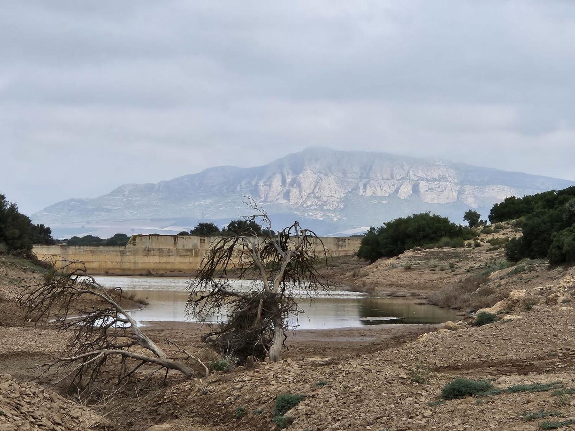 Finca Las Botas Almansa Eksteriør bilde